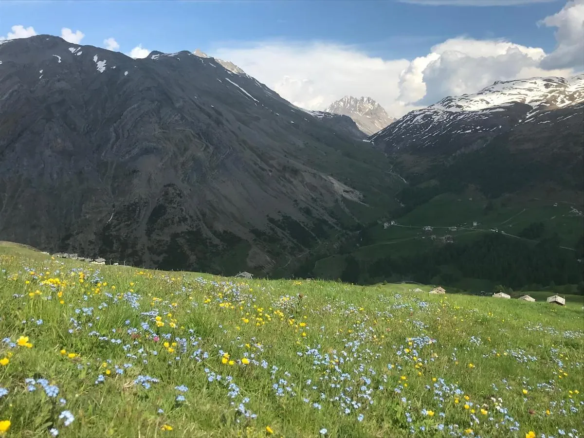 Apartment Paradise Livigno