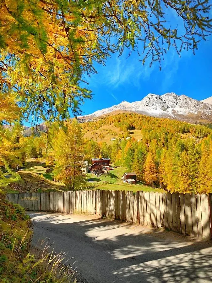 Apartment Paradise Livigno